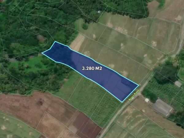 50483 - 3,280 sqm Productive Rice Field for Sale in Desa Pesagi – Penebel, Tabanan - Bali