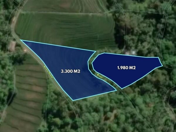 50773 - 5.280 sqm Land for Sale Rice Field & Forest View in Wanagiri - Tabanan, Bali