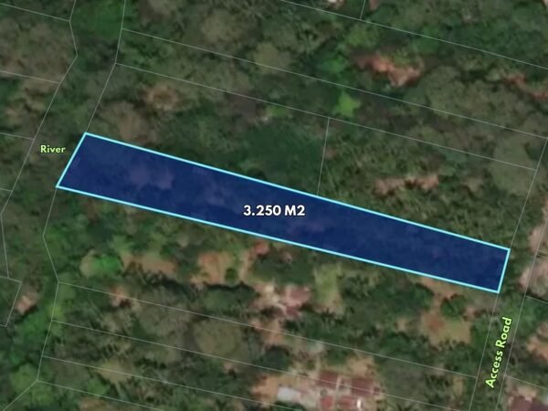 50343 - 3,250 sqm Land for Sale near Taman Mumbul Sangeh, Abiansemal - Badung