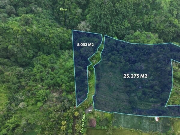 50396 - Large Freehold Jungle Riverside Land for Sale in Buahan Kaja, Payangan – Gianyar, Bali