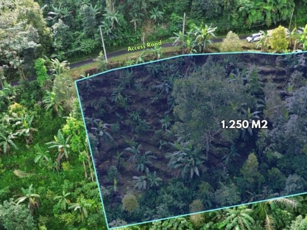 50475 - 1,250 sqm Freehold Land for Sale in Near Lemukih Waterfalls, Buleleng – Bali
