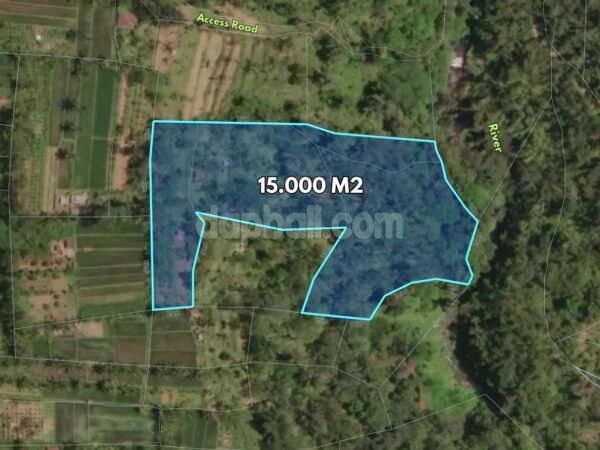 50396 - Large Freehold Jungle Riverside Land for Sale in Buahan Kaja, Payangan – Gianyar, Bali