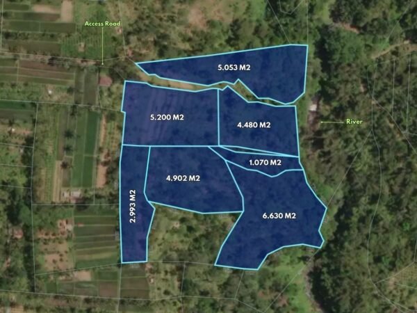 50396 - Large Freehold Jungle Riverside Land for Sale in Buahan Kaja, Payangan – Gianyar, Bali