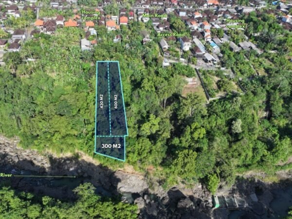 50326 - 1,342 sqm Freehold Land for Sale with Open View River – Belumbang Village, Tabanan