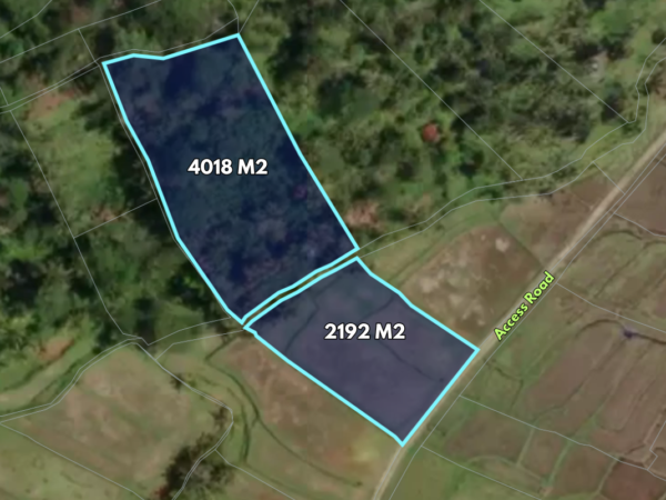 51125 - 6,192 sqm Scenic Rice Field Land for Sale in Tampaksiring, Gianyar – Peaceful Tropical Surroundings