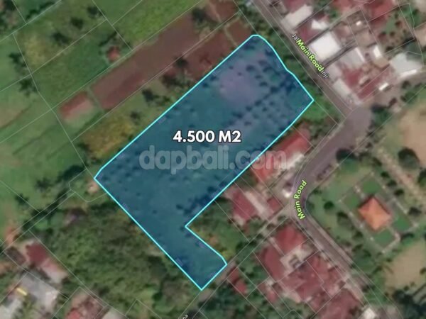 51744 - 4,500 sqm Flat Land for Sale on Main Asphalt Road – Panji - Buleleng, Bali
