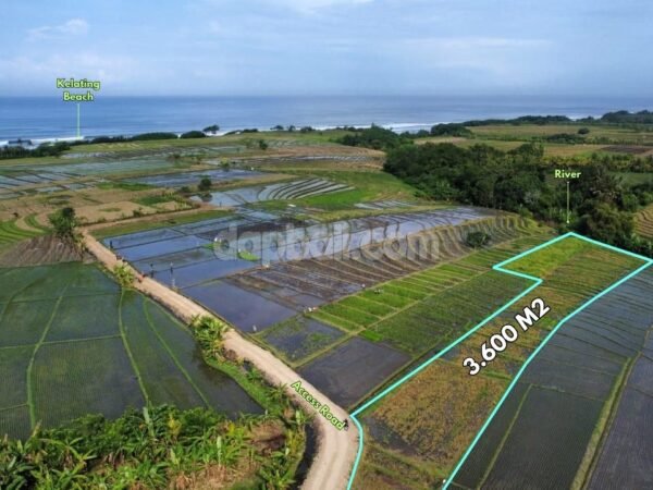 51783 - 3,600 sqm of Tourism-Zoned Land for Sale in Kelating, Kerambitan – Near Soori Bali