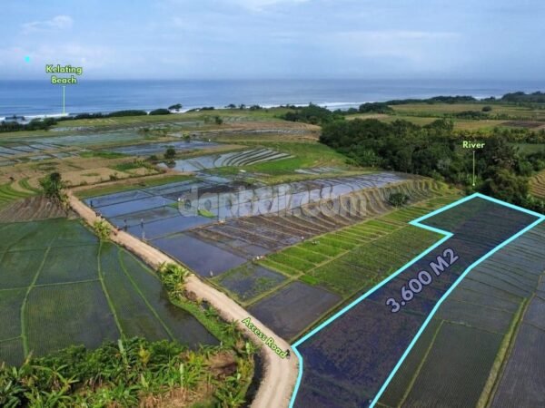 51783 - 3,600 sqm of Tourism-Zoned Land for Sale in Kelating, Kerambitan – Near Soori Bali