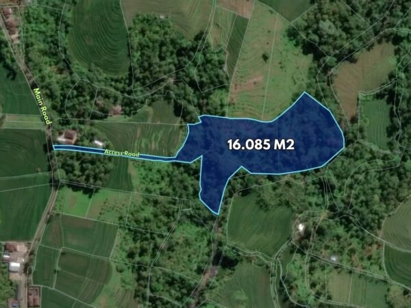 51459 - 1.6Ha Large Freehold Land for Sale in Wanagiri, Tabanan – Rice Field & River View