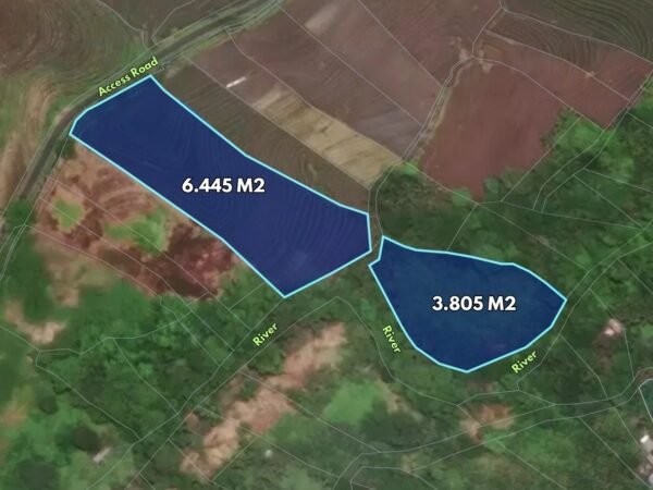 51338 - Freehold Land 10,250 m² for Sale in Tegal Mengkeb, Selemadeg – Ideal for Villa & Investment
