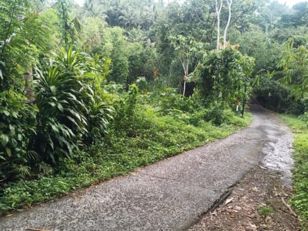 51351 - 600 sqm Small Freehold Land for Sale in Selemadeg, Tabanan – Near Kelecung Beach
