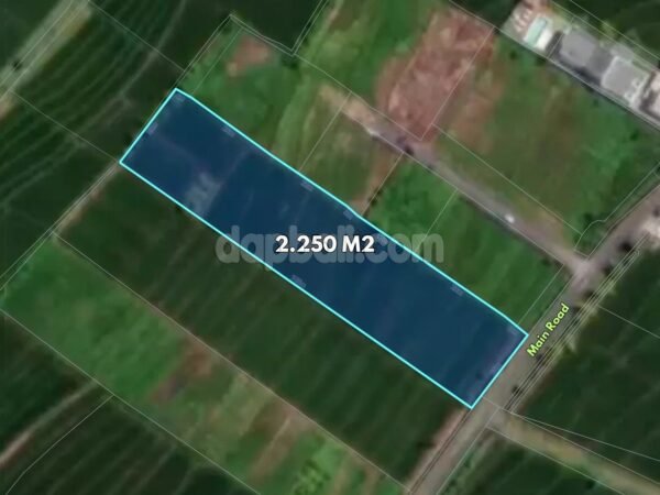 51816 - Leasehold Land 2,250 sqm in Nyanyi Beraban with Panoramic Nature Views - Near Nuanu City