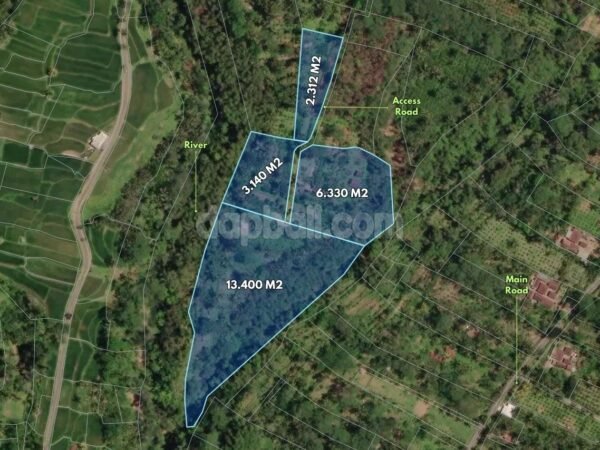 52106 - 2.8 Hectares Land for Sale in Tegallalang, Gianyar