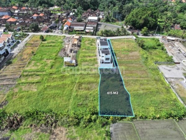 51966 - 615 sqm Land for Sale at Pandak Gede Near Nyanyi Beach with Rice Field & Sunset View