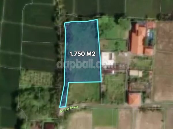52570 - 1.750 sqm of Land for Lease in Singakerta, Ubud
