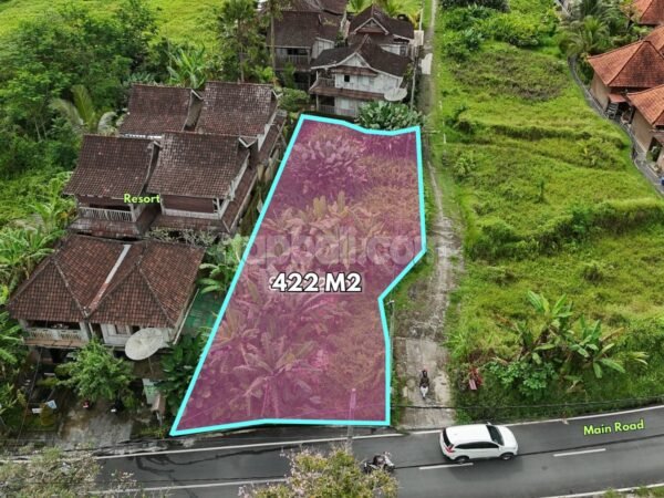 52861 - 422 sqm Freehold Land for Sale in Ubud – Pink Zone, Main Road
