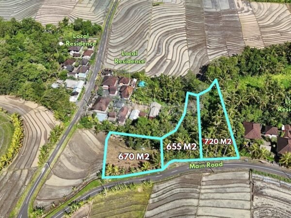 52914 - 2,045 sqm Freehold Land for Sale in Beraban, Tabanan