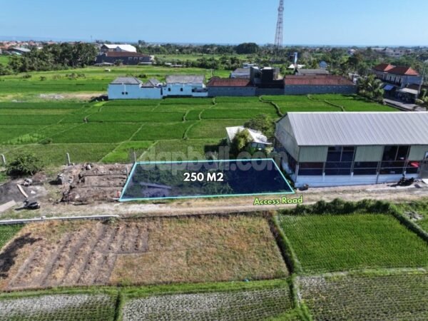 52940 - 250 sqm Land for Lease in Buwit, Tabanan – Rice Field View