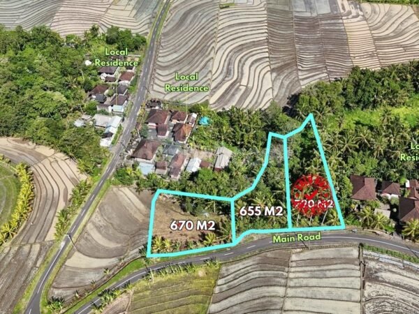52914 - 1,325 sqm Freehold Land for Sale in Beraban, Tabanan