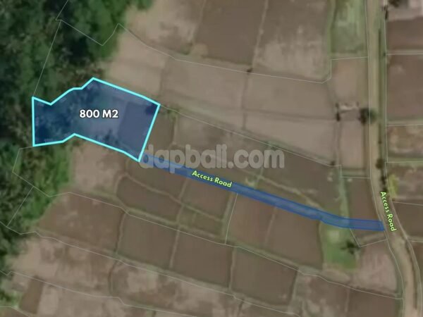 52512 - 800 sqm Leasehold Land in Central Ubud, Tegallalang