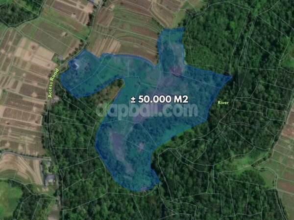 52553 - 5 Hectare Land for Sale in Riang Gede, Penebel