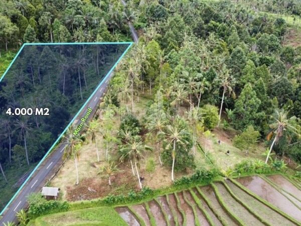 52961 - 4,000 sqm Freehold Land for Sale in Gunung Salak, Tabanan