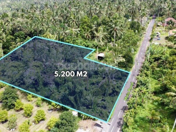 53479 - 5,200 sqm Main Road Commercial Land for Sale in Gunung Salak, Tabanan