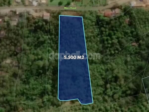 53504 - 5,500 sqm Main Road Hillside Land for Sale in Munduk, Buleleng