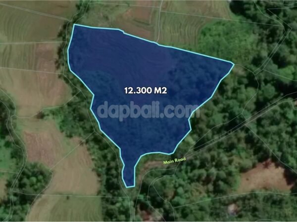 53550 - 12,300 sqm Main Road Land for Sale in Wanagiri Kauh, Selemadeg
