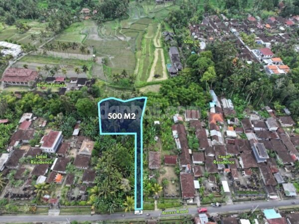53699 - 500 sqm (5 Are) Land for Lease in Kelusa, Gianyar