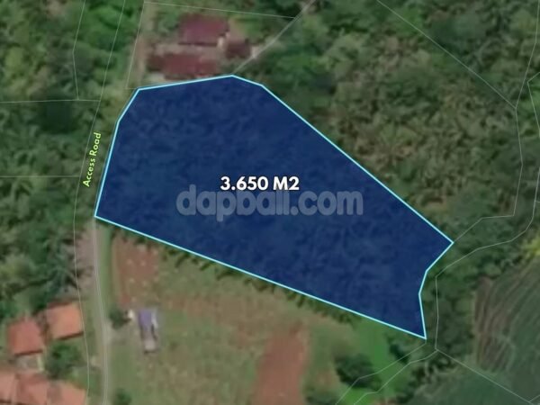 53741 - 3,650 sqm (36.5 are) Freehold Land for Sale in Megati, Selemadeg Timur