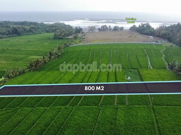 53821 - 800 sqm (8 Are) Tourism-Zoned Freehold Land for Sale near Soori Bali, Kelating