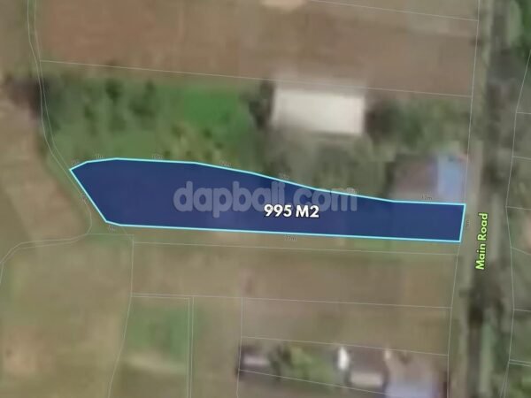 53900 - 995 sqm (9.95 are) Main Road Freehold Land with Rice Field Views for Sale in Buahan, Tabanan