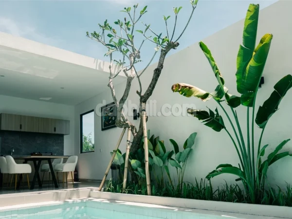 52974 - 1BR Villa for Annual Rent in Beraban, Tabanan