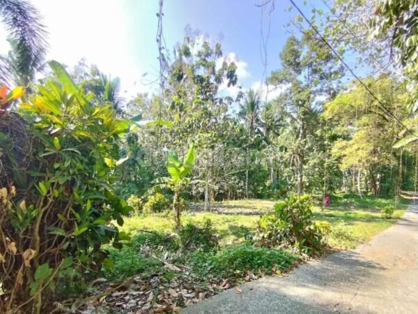 53089 - 2,100 sqm Land for Sale in Desa Gadungan, Selemadeg Timur