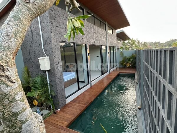 53870 - Brand-New 2-Bedroom Freehold Villas for Sale in Pandak Gede near Nyanyi