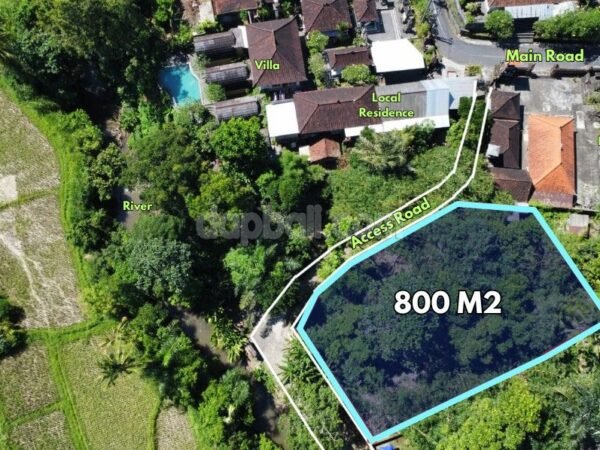 54339 - 800 sqm Scenic Jungle & River View Leasehold Land for Rent in Singapadu, Gianyar