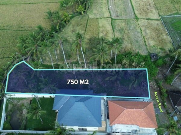 54371 - 750 sqm (7.5 are) Premium Residential Leasehold Land with Guaranteed Rice Field Views in Pangkung Tibah, Tabanan