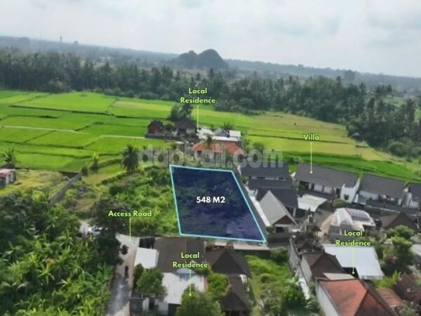 53962 - 548 sqm (5.48 Are) Pink Zone Tourism Land with Rice Field Views for 30-Year Lease in Singakerta, Ubud