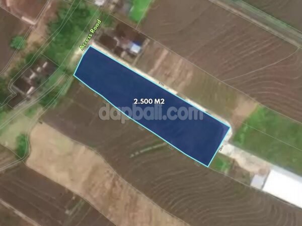 54666 - 2,500 sqm (25 are) Prime Ready-to-Build Beachside Villa Land for Sale, Tangguntiti, Selemadeg Timur, Tabanan