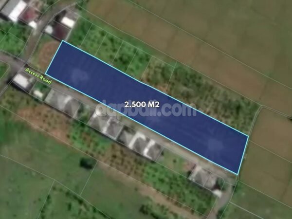 54719 - 2,500 sqm (25 are) Flexible Leasehold Rice Field View Land for Lease Pandak Bandung Tabanan