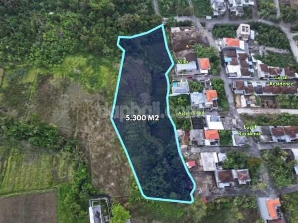 53974 - 5,300 sqm (53 are) Freehold Land with Rice Field Views for Sale in Pandak Gede, Tabanan