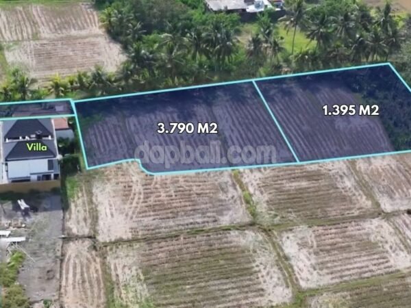 53993 - 2,790 sqm Flat Pink Zone Tourism Land with Rice Field Views for Lease in Singakerta, Ubud