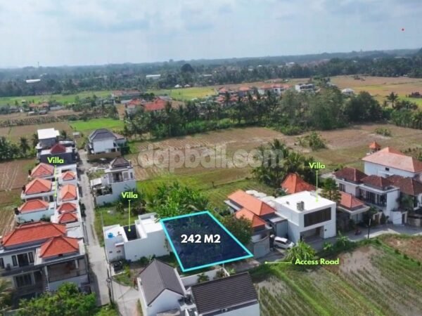 53941 - 242 sqm (2.42 are) Flat Pink Zone Land for Lease in Tebongkang, Ubud Corridor