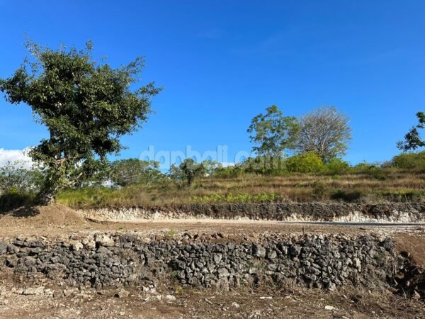 54317 - Strategic Land Plots (Kavling) for Sale in Nusa Penida, Bali